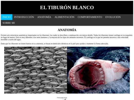 anatomia screenshot