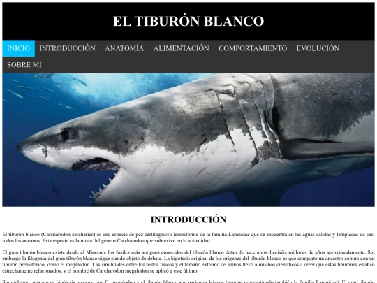 introduccion screenshot