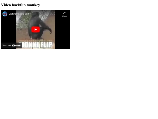 atividade5/video screenshot