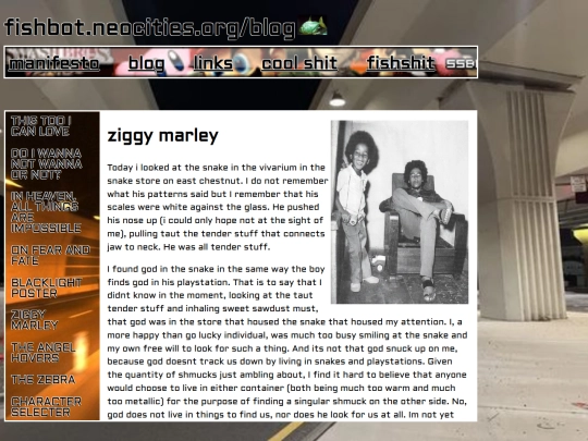blogs/ziggyblog screenshot