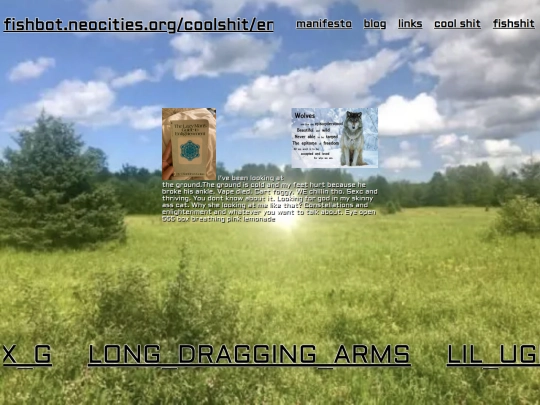 coolshits/enlightenment screenshot