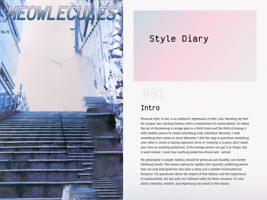 hobby/fashion/diary screenshot