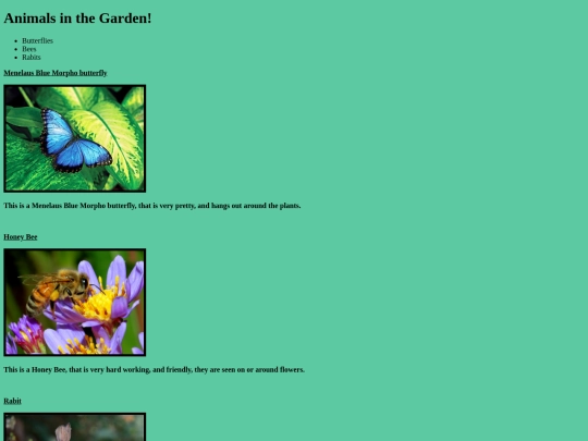 animals screenshot