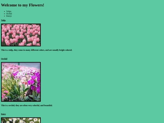 flowers screenshot