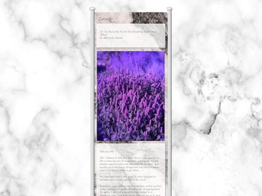 lavender screenshot