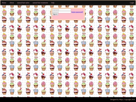 login screenshot