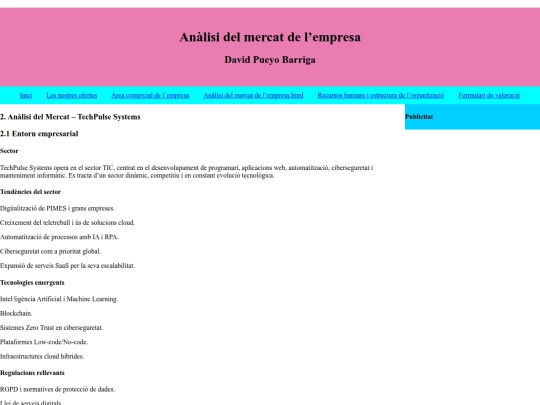 Anàlisidelmercatdel’empresa screenshot