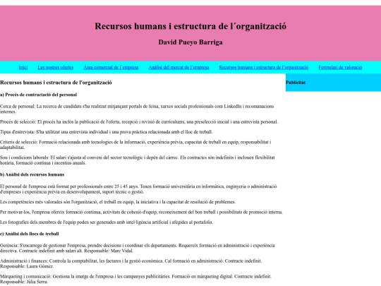 Recursoshumansiestructuradel’organització screenshot