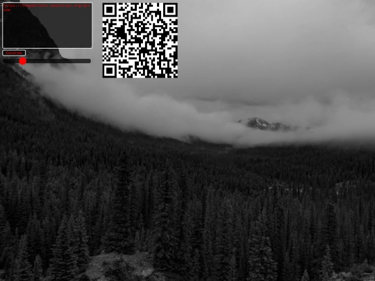 qrcode screenshot