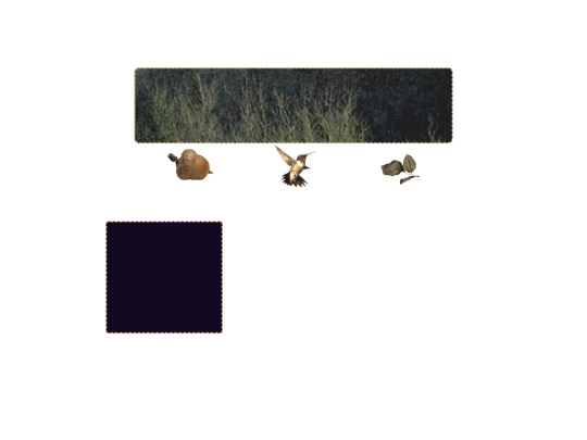 test screenshot