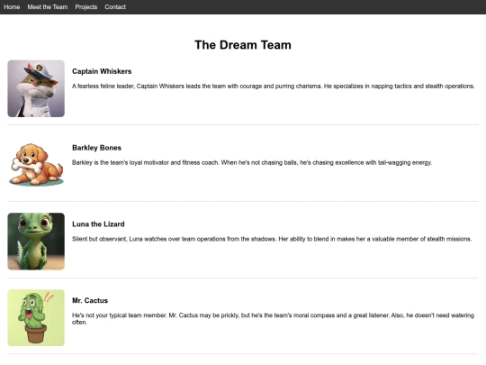 team-page screenshot