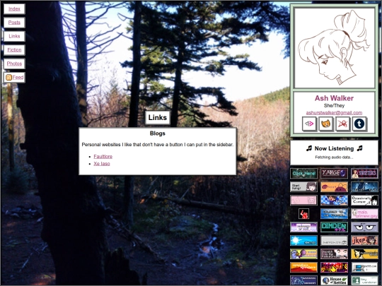 links screenshot