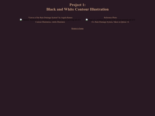project1 screenshot