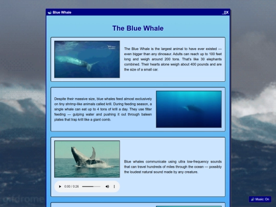 bluewhale screenshot