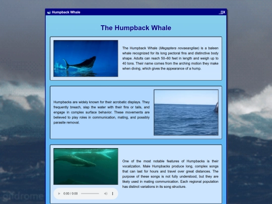 humpback screenshot