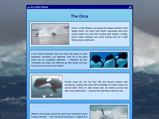 orca screenshot