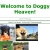 The web site of doggyheaven avatar