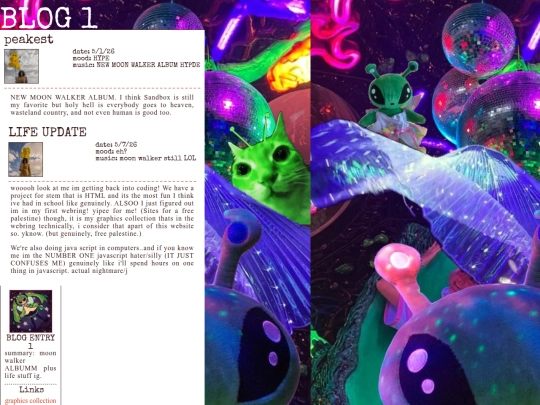blogentry1 screenshot