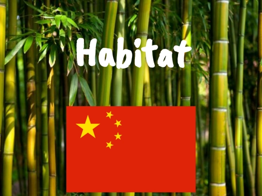 Habitat screenshot