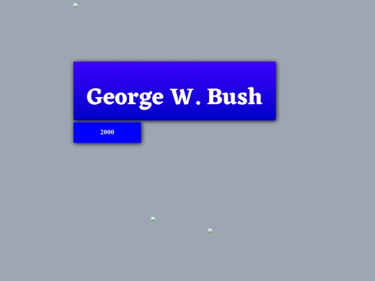 interests/politics/shrine/bush screenshot