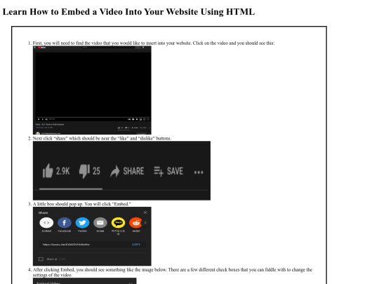 video screenshot