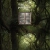The web site of divnokraj avatar