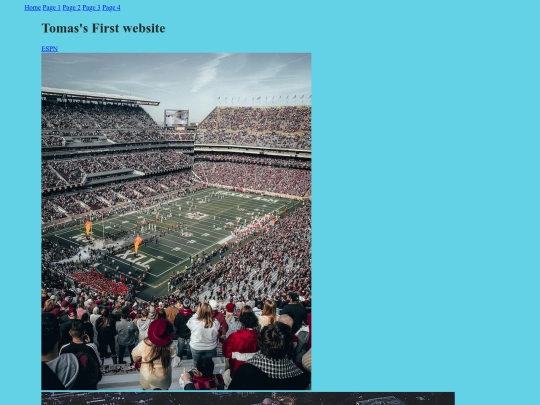 myfirstwebsite screenshot