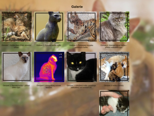 kockywiki/galerie screenshot