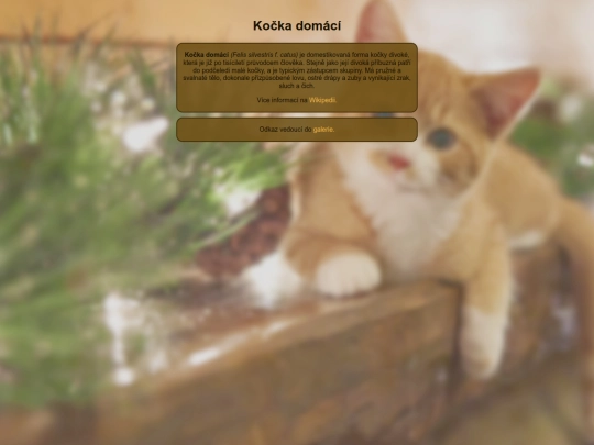 kockywiki/kockywiki screenshot