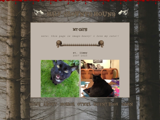 other/cats screenshot