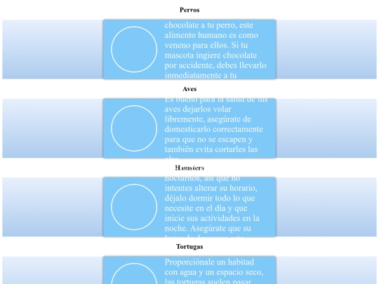 cuidados screenshot