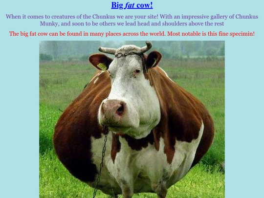 Chunky site/Big fat screenshot