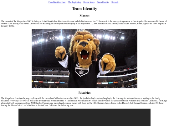 TeamIdentity screenshot