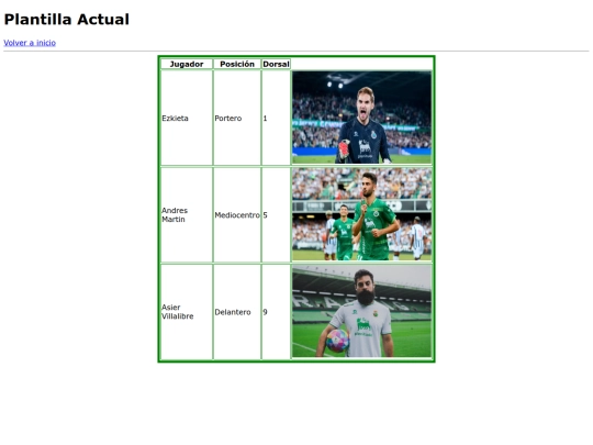 PracticaProyecto.html/plantilla screenshot