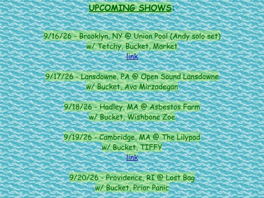 shows screenshot