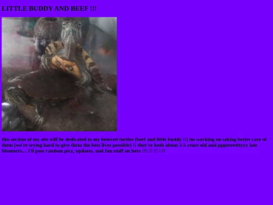 turtlez screenshot