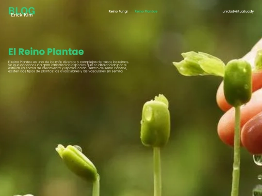 plantae screenshot