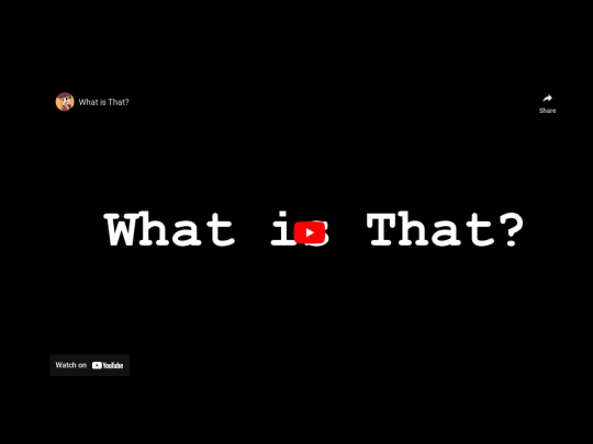 CHARA/AUD4 screenshot