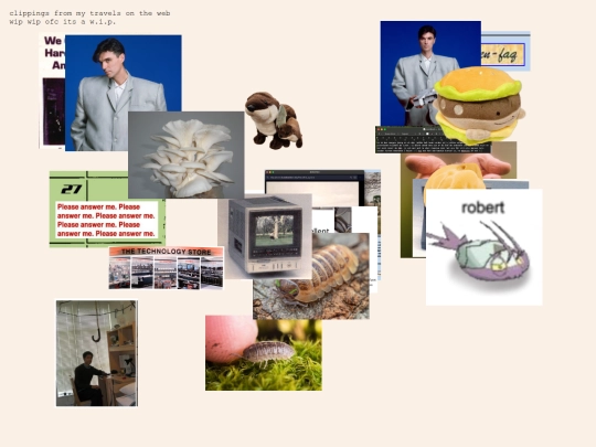 journal/clippings screenshot