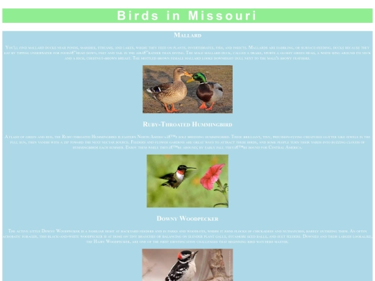 birds screenshot