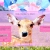On Bambi's Mind avatar