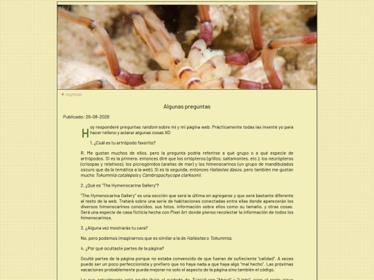 blog/preguntas screenshot