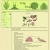 The Age of Arthropods avatar
