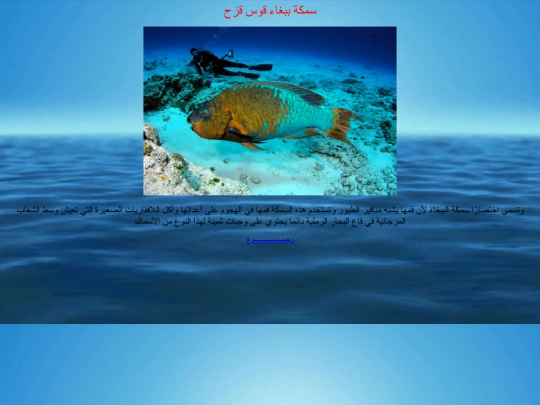 page10 screenshot