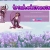 The web site of trichokinesis avatar