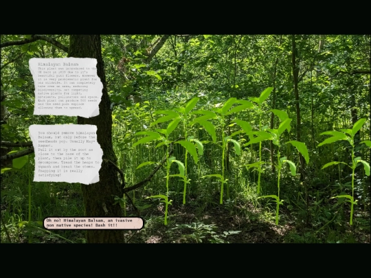 balsam screenshot