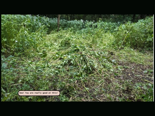 balsambashed screenshot