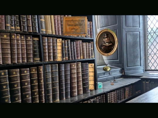 bookshelf2 screenshot