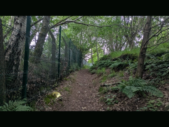 forestgolfpath screenshot