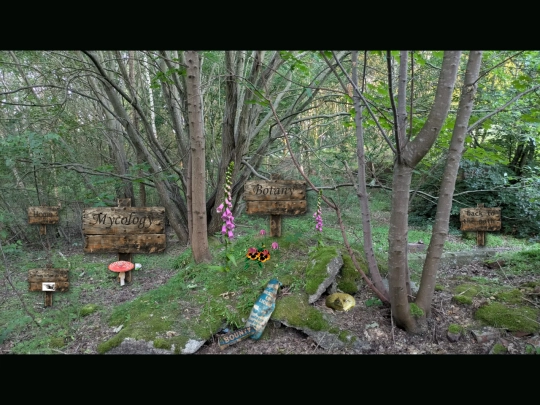 forestmenu screenshot